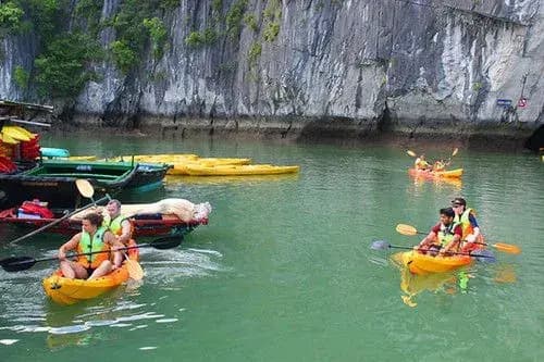 Calypso Cruise - photo 14