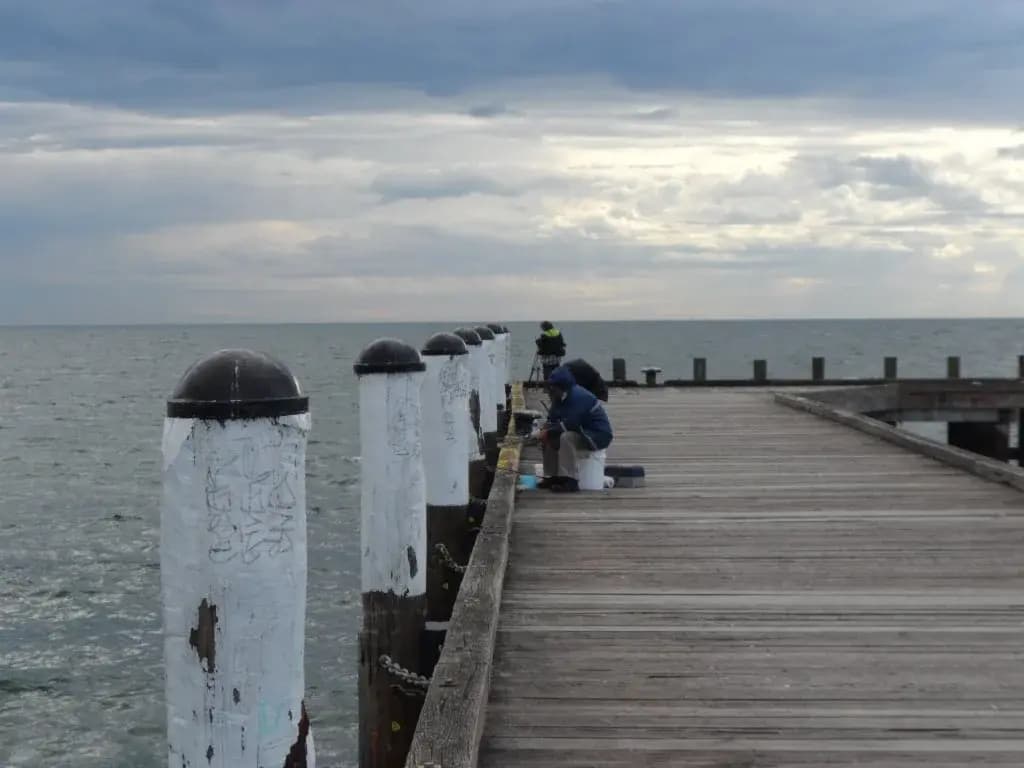 Beachwalk Cottage - photo 14
