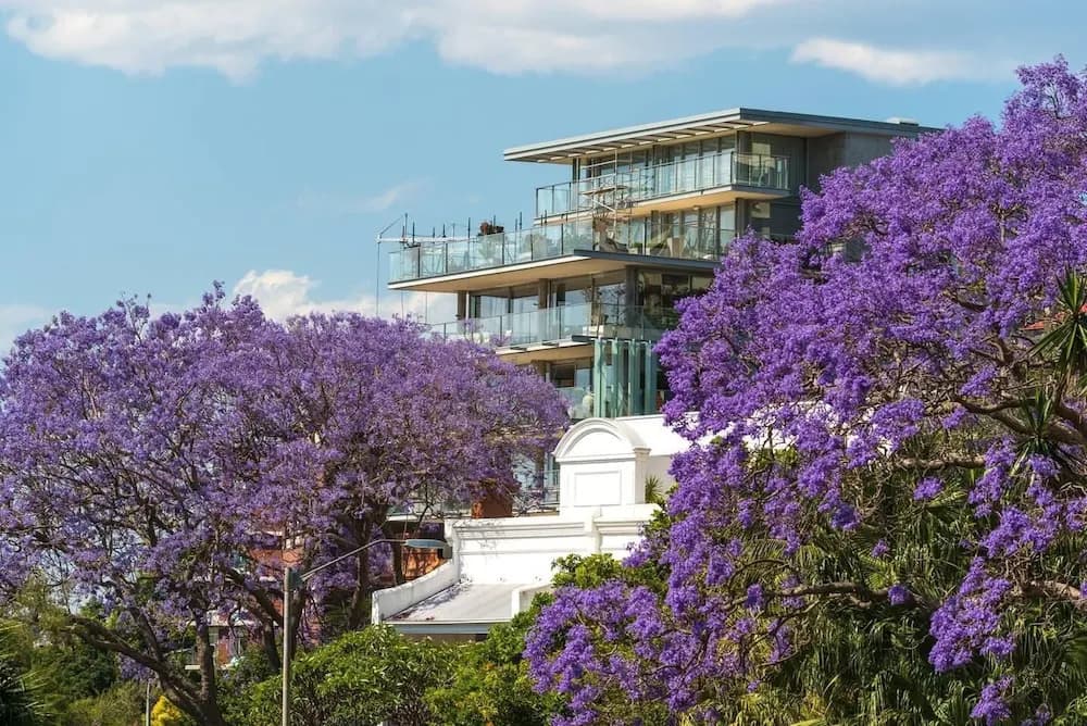Couple's Gateway in Sunny Elizabeth Bay - photo 9