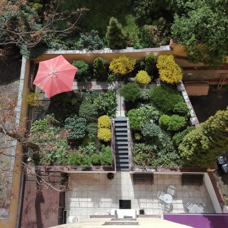 Royal Plaza - photo 15