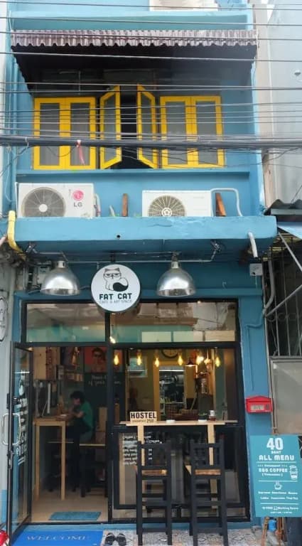 Fat Cat Hostel - main photo