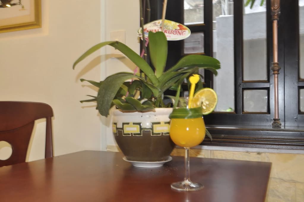 Green Coco Homestay Hoi An - photo 13
