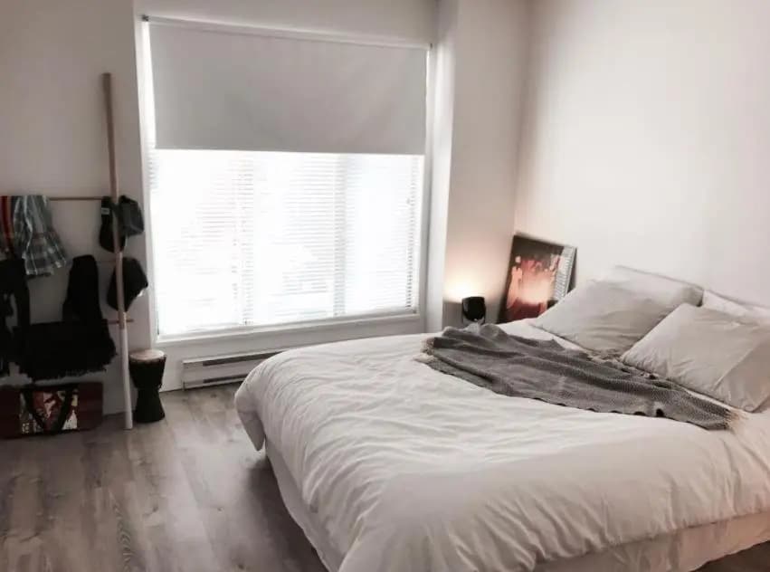 Modern Suite With Private Bathroom - main photo