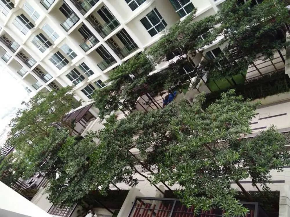 TMS Apartment - photo 22