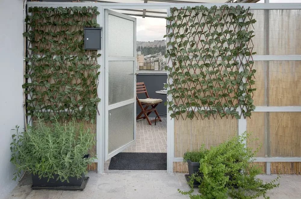 Nest Studio with Terrace, Acropolis View - photo 11