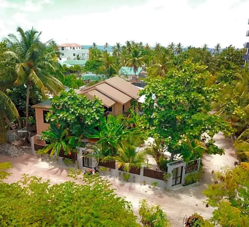 Daisy Cottage Dhangethi - photo 12