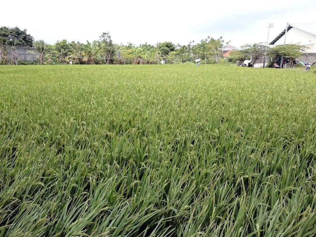Nakula Stay Kuta - photo 14