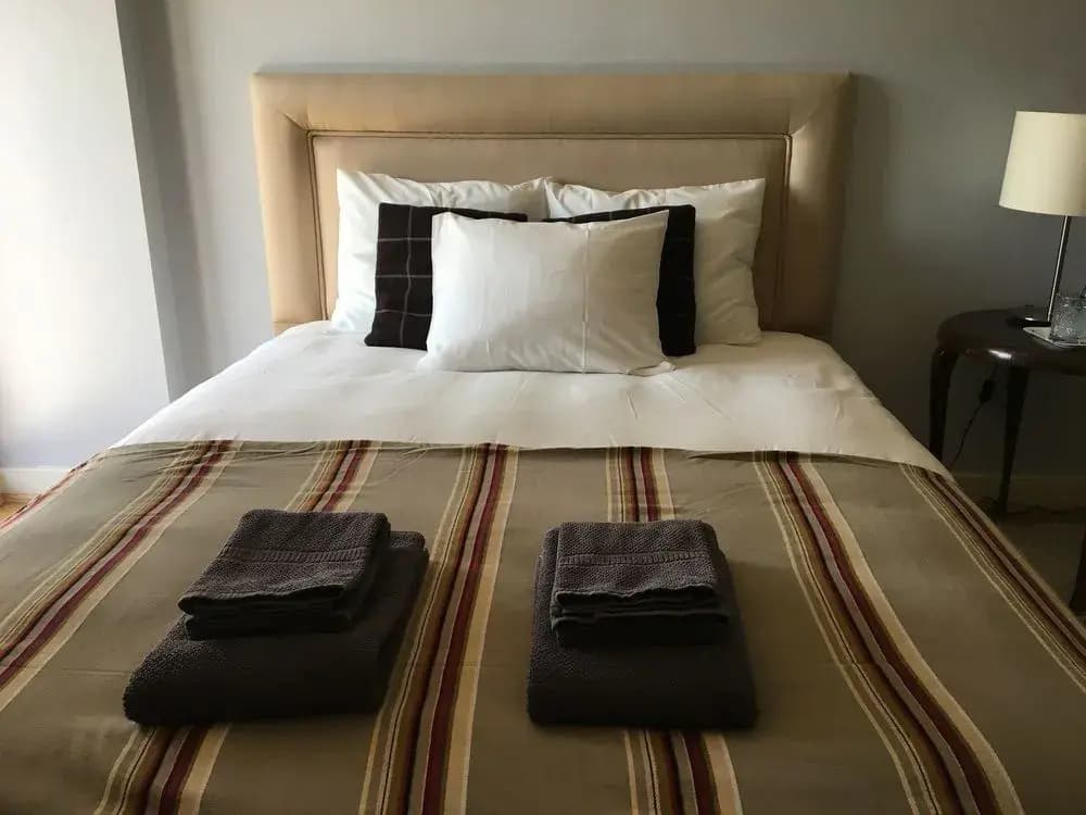 Lisbon Luxe Spacious Flat - photo 4