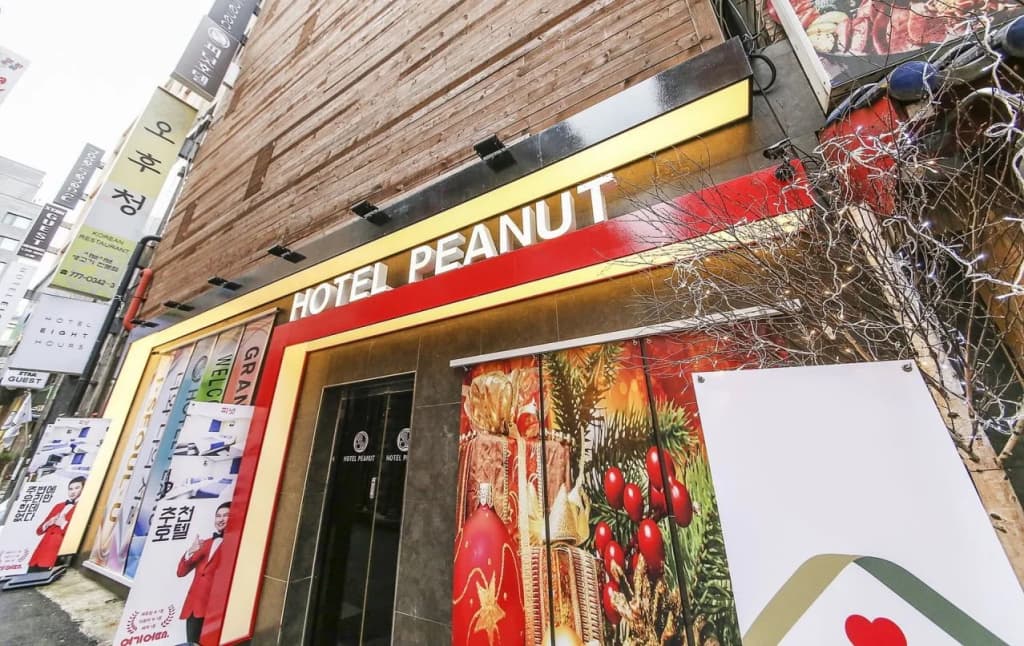 Peanut Hotel - photo 11