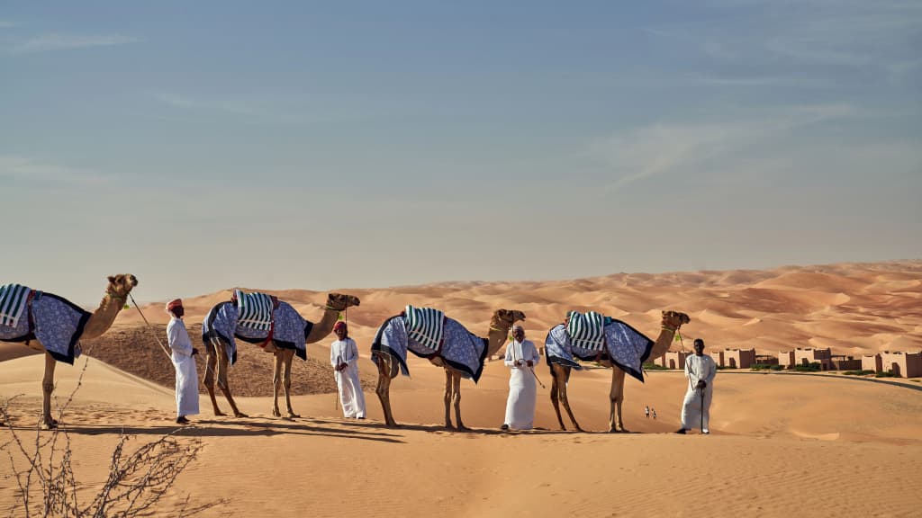 Bab Al Nojoum Bateen Liwa Resort - photo 12