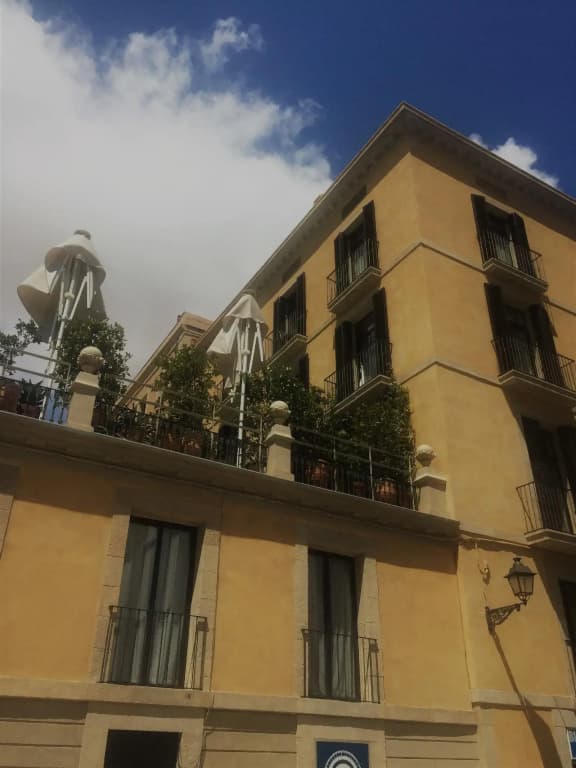 Hotel Oasis - photo 30