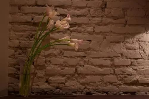 The Place - photo 17