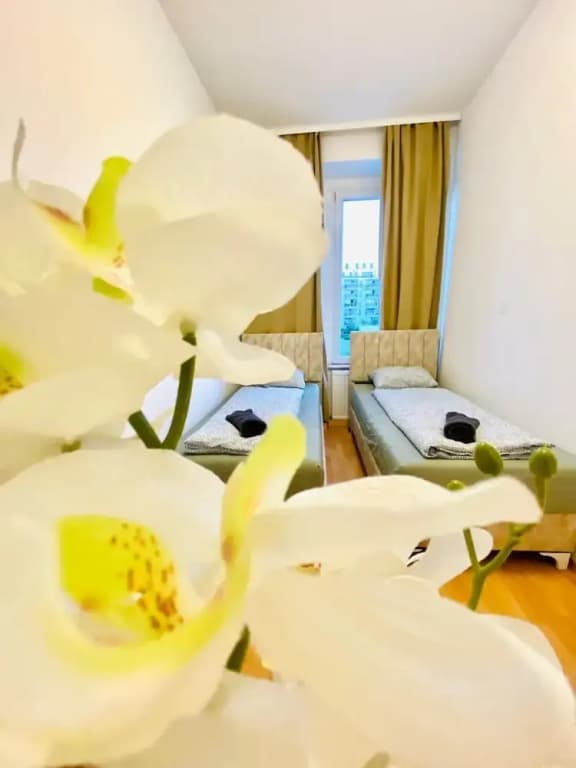 Rooms in Cozy 4BR Shared Apt Central - photo 34