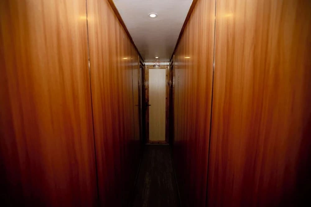 Odyssey of sunny side - photo 4