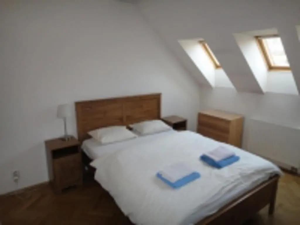 Beautiful Apartment Near Florenc Area of Prague - photo 3