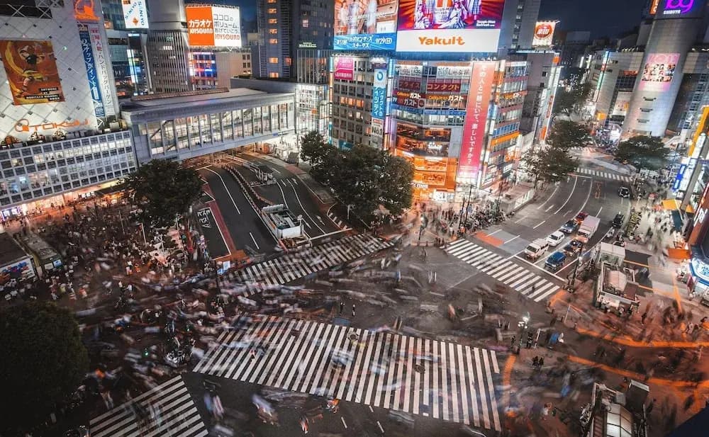 illi Sun Shimokitazawa - photo 18