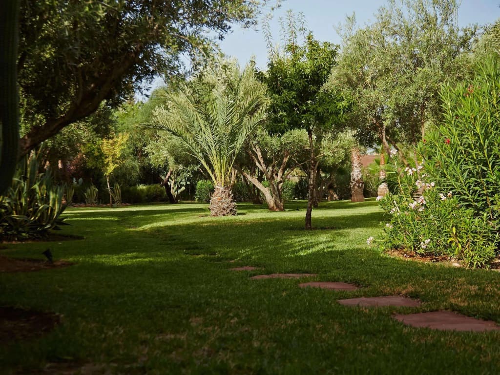 Villa Vanille - photo 16