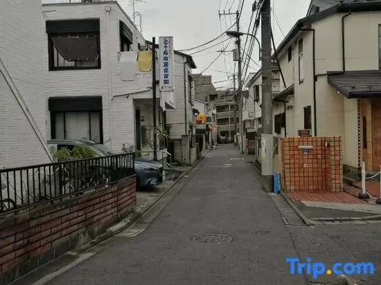 Tokyo downtown - photo 19