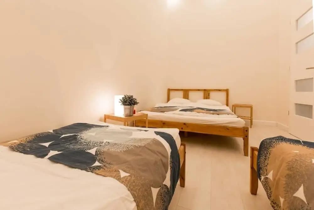 Erzsébet Spa Apartment - photo 4