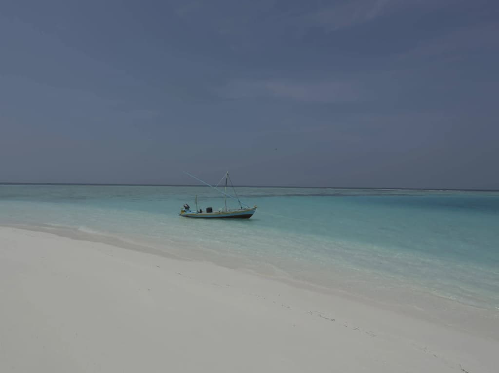 Ungoofaar Inn - photo 17