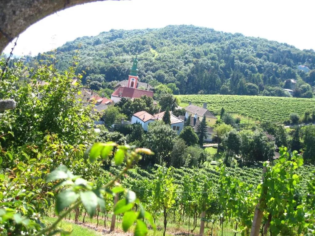 Vienna Cottage - photo 11
