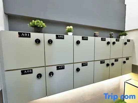 MetroCity Backpackers - photo 3