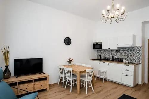 Apartment Gesse Březinova - photo 14