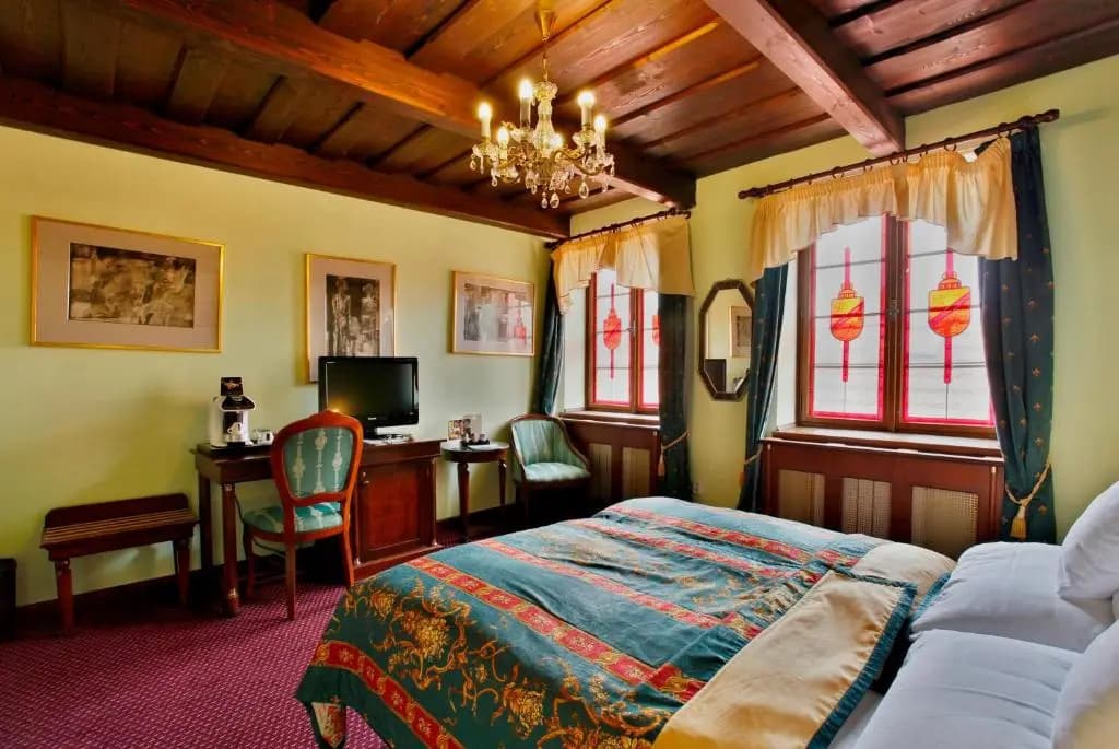 Hotel U Páva - photo 10