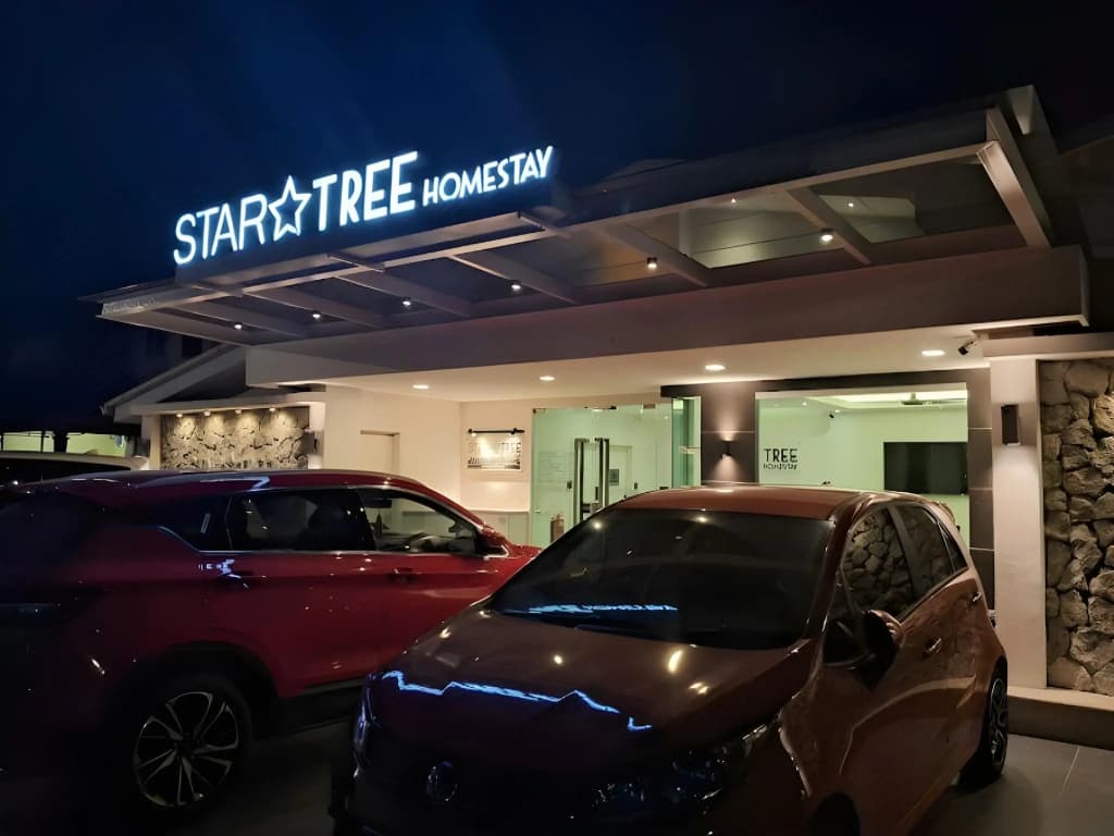 Star Tree Homestay - photo 1