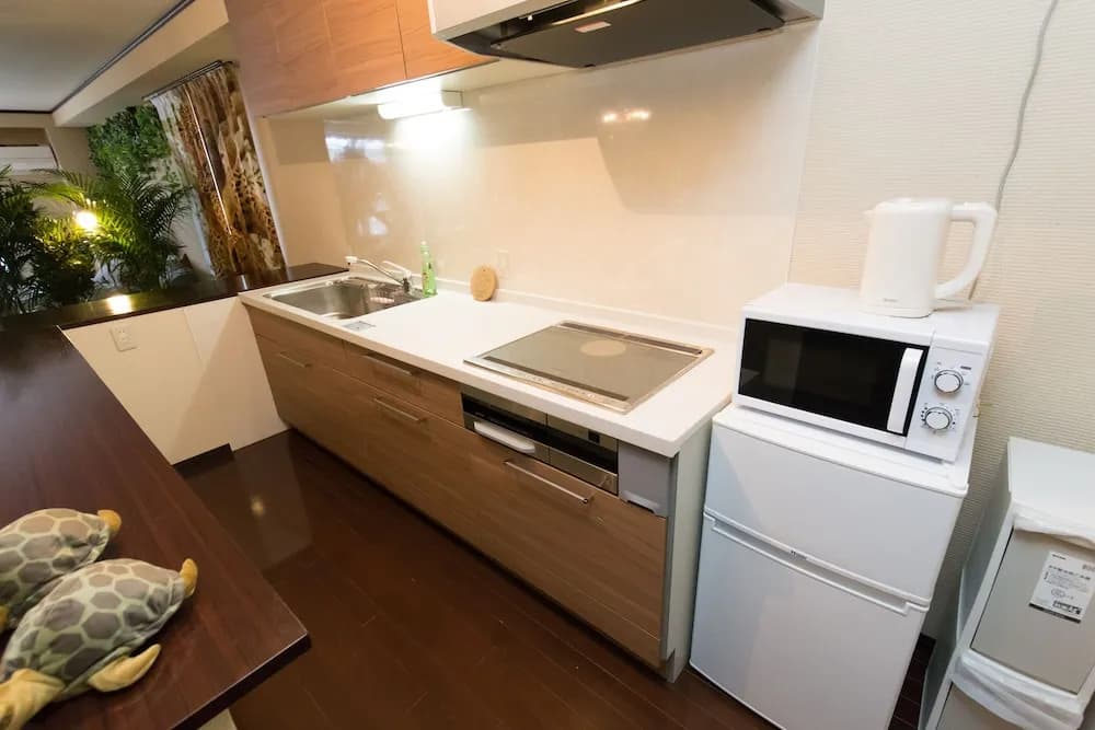 Ex Osaka Ko Apartment 201 - photo 11