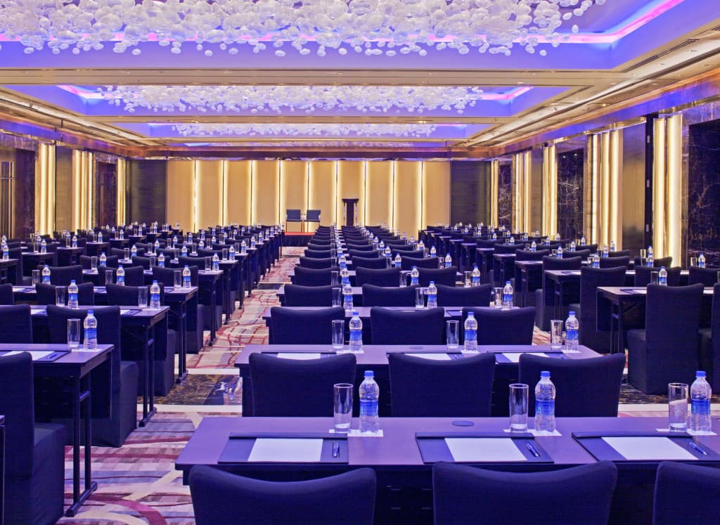 Radisson Blu Plaza Delhi Airport - photo 15