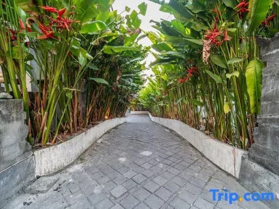 The Hita Apartement - photo 6