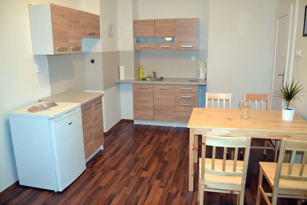 Jezerka Apartments - photo 13