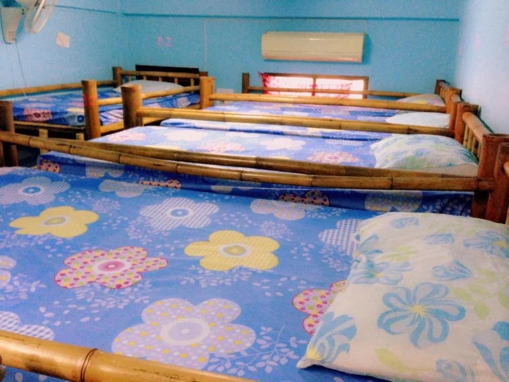 Bamboo Hostel - photo 2