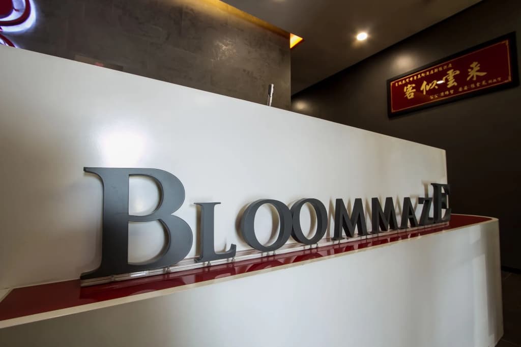 Bloommaze Boutique Hotel - main photo
