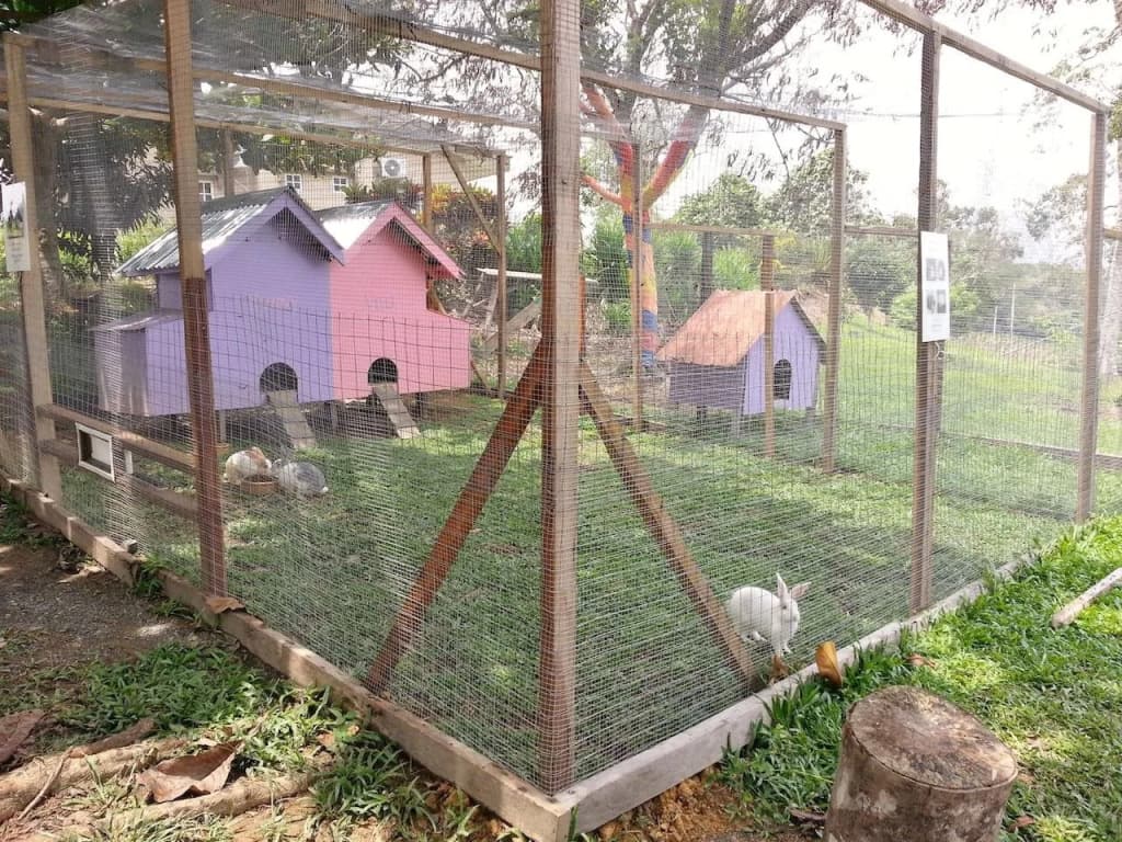 Sabah Tea Resort - photo 11