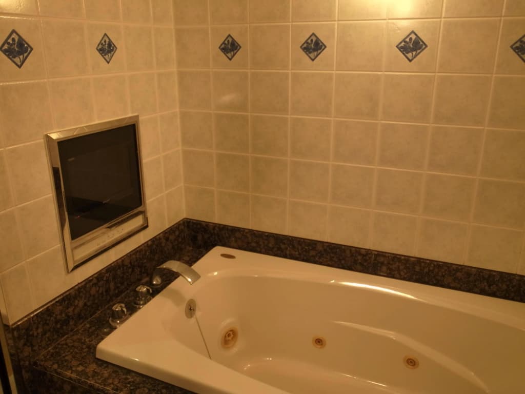 Hotel Alps - photo 8