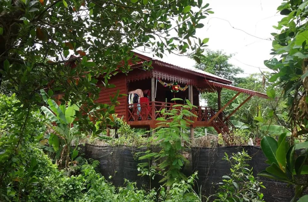 Authentic Cambodian Angkor Cottage - photo 14