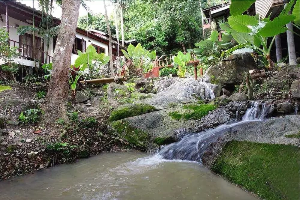 Nature Park Resort - photo 17
