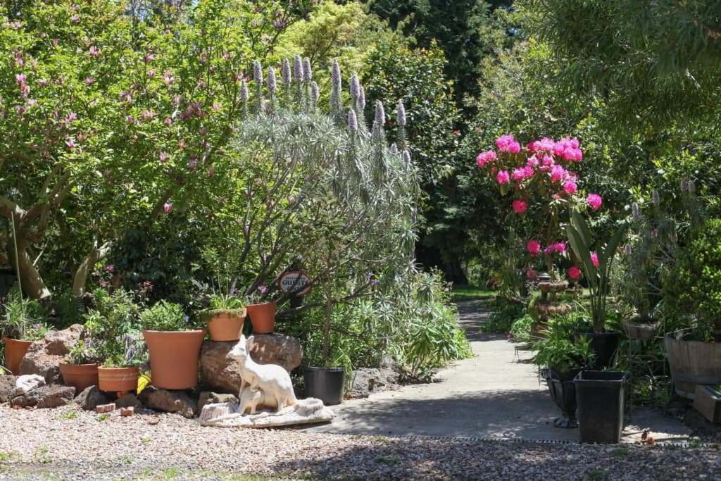 Olinda Country Cottages - photo 11