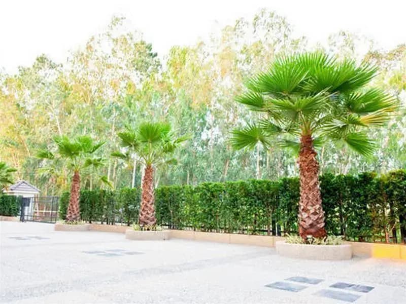 Green Point Resort - photo 14