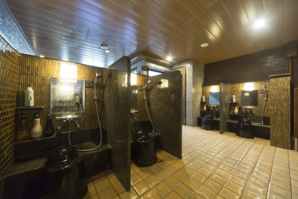Dormy Inn Premium Kanda - photo 18