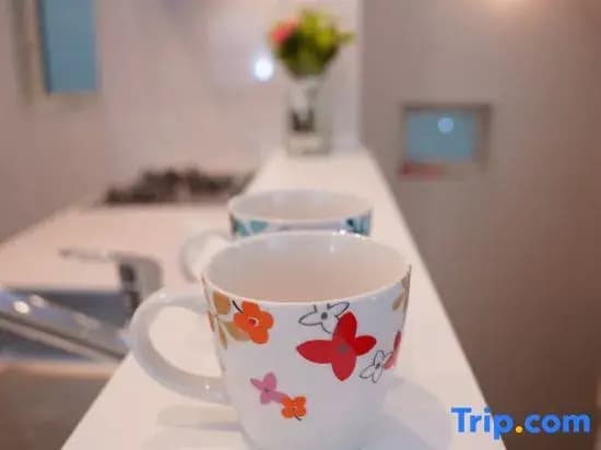 Tokyo　Ikebukuro　villa - photo 6