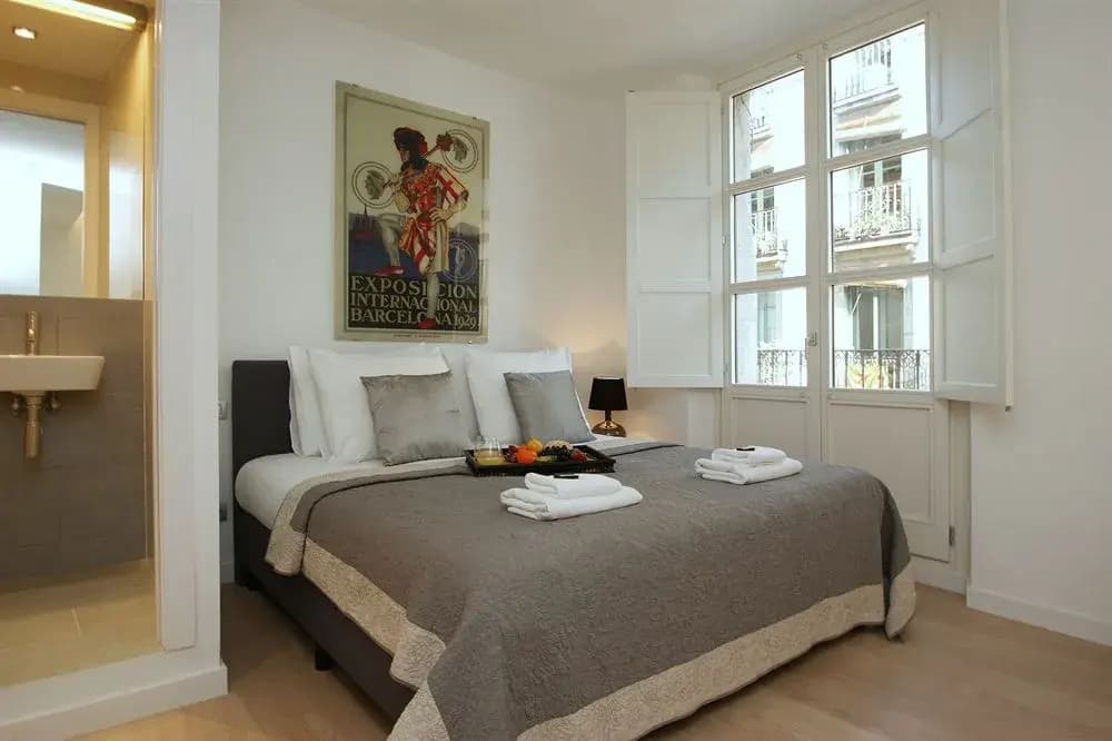 SSG Ramblas Deluxe Apartments - photo 3
