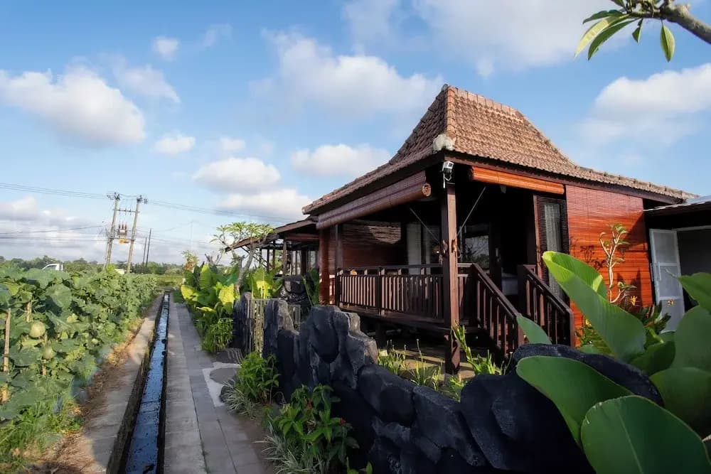 Sunset Harvest Bali - photo 9
