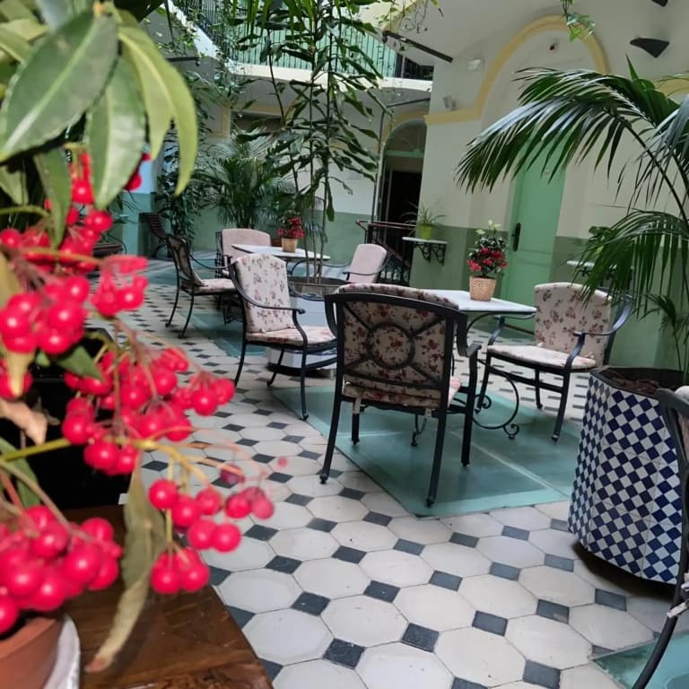 Hotel Peninsular - photo 19