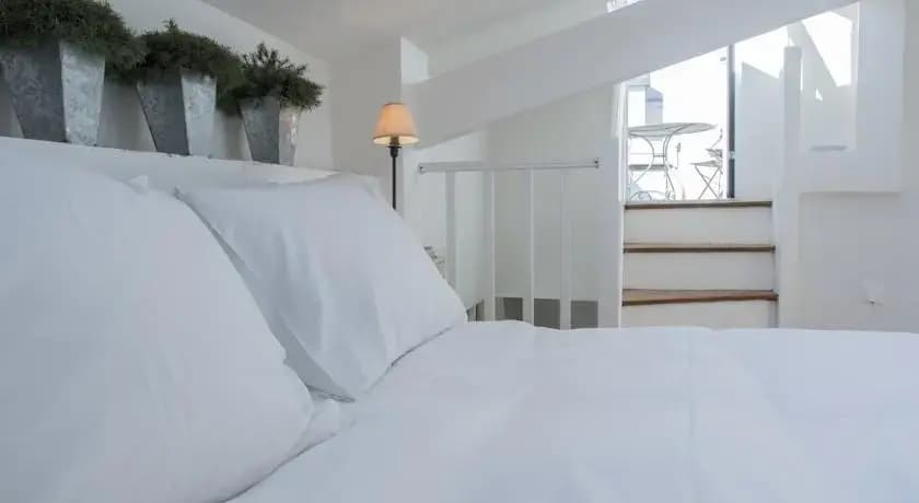 Appartement Dauphine Pont Neuf - photo 3