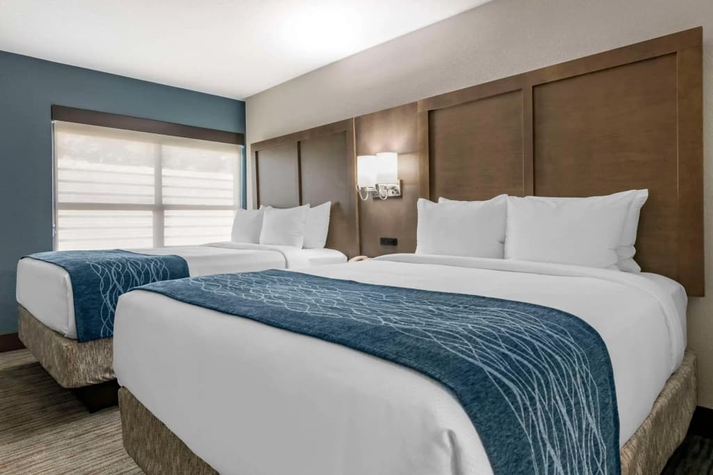 Comfort Inn & Suites Downtown Brickell-Port of Miami - photo 6