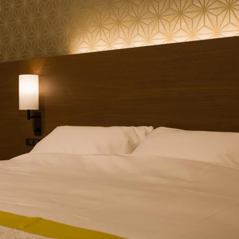 Tosei Hotel Cocone Ueno - photo 45
