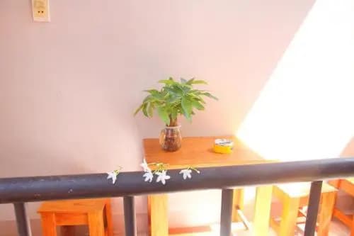 An Thi Homestay - photo 10